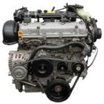 SUZUKI-Ignis