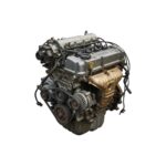HONDA-Accord